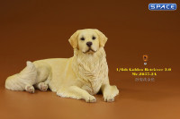 1/6 Scale lying Golden Retriever Version 2A