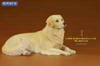 1/6 Scale lying Golden Retriever Version 2A