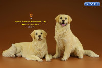 1/6 Scale lying Golden Retriever Version 2A