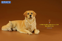 1/6 Scale lying Golden Retriever Version 3A