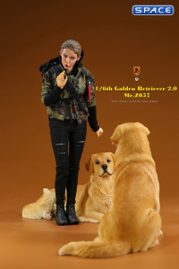 1/6 Scale lying Golden Retriever Version 4A