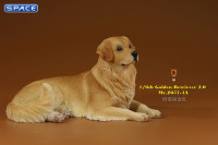 1/6 Scale lying Golden Retriever Version 4A