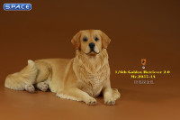 1/6 Scale lying Golden Retriever Version 4A