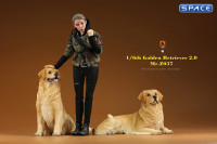 1/6 Scale lying Golden Retriever Version 4A