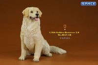 1/6 Scale sitting Golden Retriever Version 1B