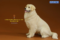 1/6 Scale sitting Golden Retriever Version 1B