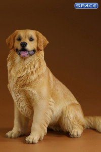 1/6 Scale sitting Golden Retriever Version 4B
