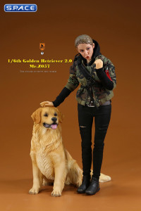 1/6 Scale sitting Golden Retriever Version 4B