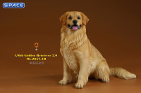 1/6 Scale sitting Golden Retriever Version 4B