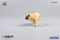 1/6 Scale Pug leg lift (brown)