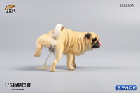 1/6 Scale Pug leg lift (brown)