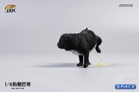 1/6 Scale Pug leg lift (black)