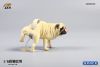 1/6 Scale Pug leg lift (white)