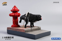 1/6 Scale black Pug leg lift including hydrant base