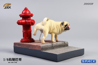 1/6 Scale white Pug leg lift including hydrant base
