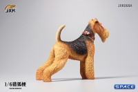 1/6 Scale Foxterrier (brown/black)