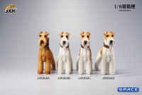 1/6 Scale Foxterrier (brown/black)