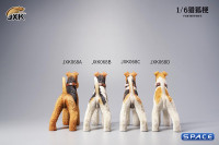 1/6 Scale Foxterrier (brown/black)