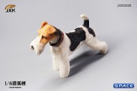 1/6 Scale Foxterrier (white/black)