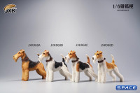 1/6 Scale Foxterrier (white/black)