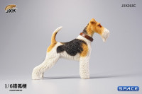 1/6 Scale Foxterrier (white/brown/black)