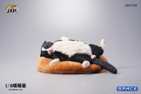 1/6 Scale lethargic Cat (black)