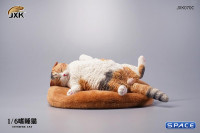 1/6 Scale lethargic Cat (white/brown/black)