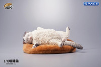 1/6 Scale lethargic Cat (white/grey)