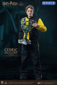 1/6 Scale Cedric Diggory (Harry Potter)