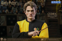 1/6 Scale Cedric Diggory (Harry Potter)