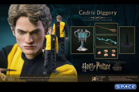 1/6 Scale Cedric Diggory (Harry Potter)