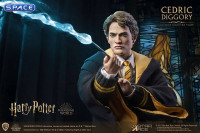 1/6 Scale Cedric Diggory Deluxe Version (Harry Potter)