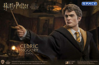 1/6 Scale Cedric Diggory Deluxe Version (Harry Potter)