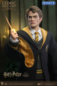 1/6 Scale Cedric Diggory Deluxe Version (Harry Potter)