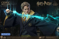 1/6 Scale Cedric Diggory Deluxe Version (Harry Potter)