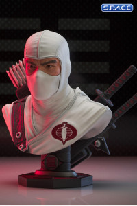 Storm Shadow Legends in 3D Bust (G.I. Joe)