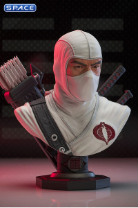 Storm Shadow Legends in 3D Bust (G.I. Joe)