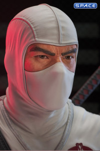 Storm Shadow Legends in 3D Bust (G.I. Joe)