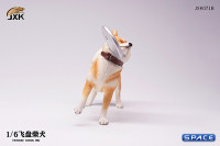 1/6 Scale Shiba Inu with frisbee (red)