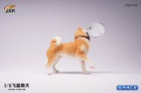 1/6 Scale Shiba Inu with frisbee (red)