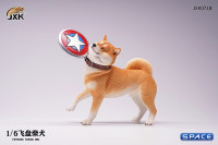 1/6 Scale Shiba Inu with frisbee (red)