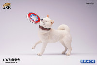 1/6 Scale Shiba Inu with frisbee (white)