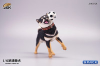 1/6 Scale Shiba Inu with football (black)