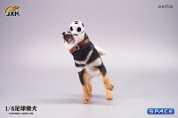 1/6 Scale Shiba Inu with football (black)