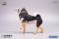 1/6 Scale Shiba Inu with football (black)