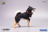 1/6 Scale Shiba Inu with football (black)