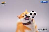 1/6 Scale Shiba Inu with football (red)