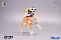 1/6 Scale Shiba Inu with football (red)