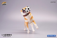 1/6 Scale Shiba Inu with football (red)