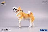 1/6 Scale Shiba Inu with football (red)